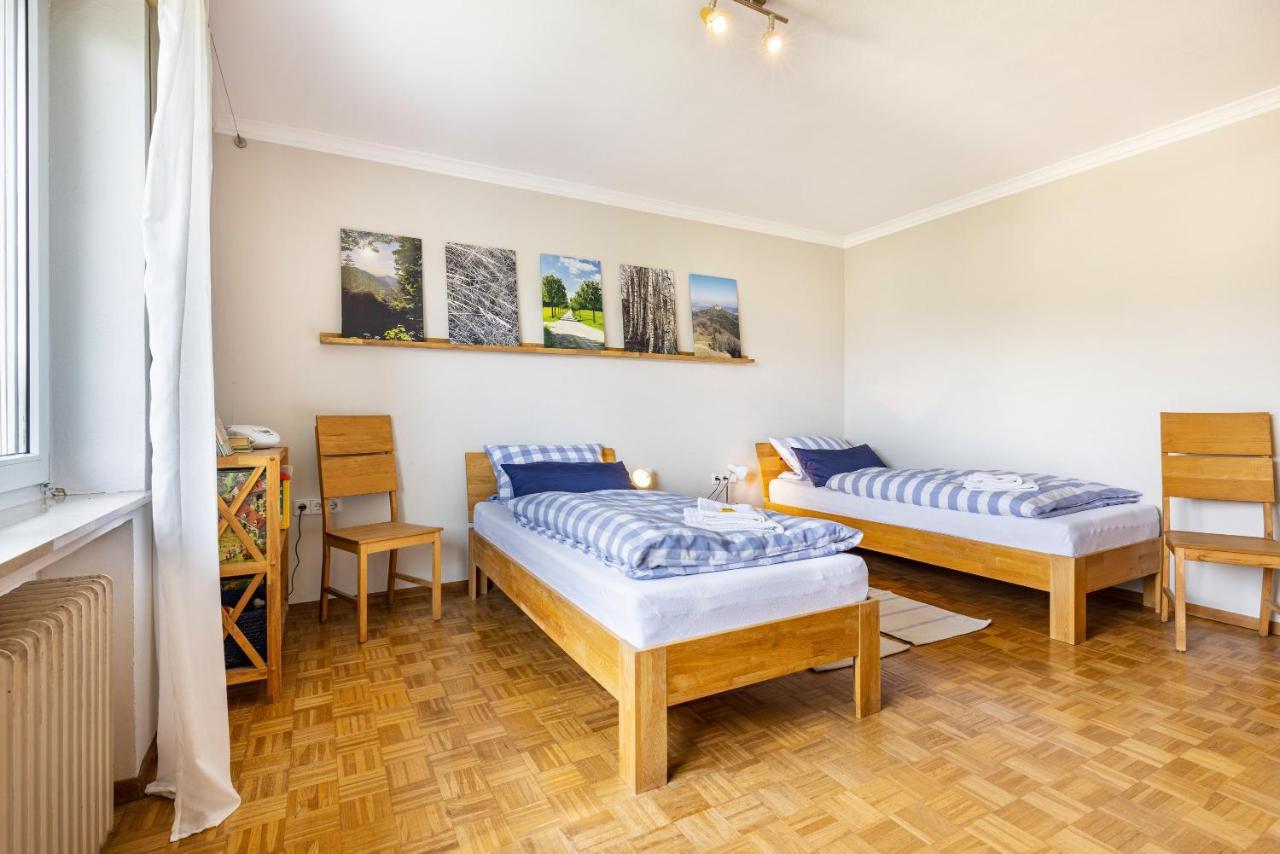 Ferienwohnung Lammerberg 阿尔伯斯塔特 外观 照片